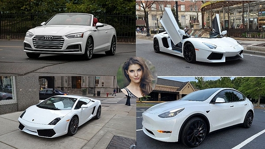 Here is The Latest Car Collection of Famous Model Amanda Cerny