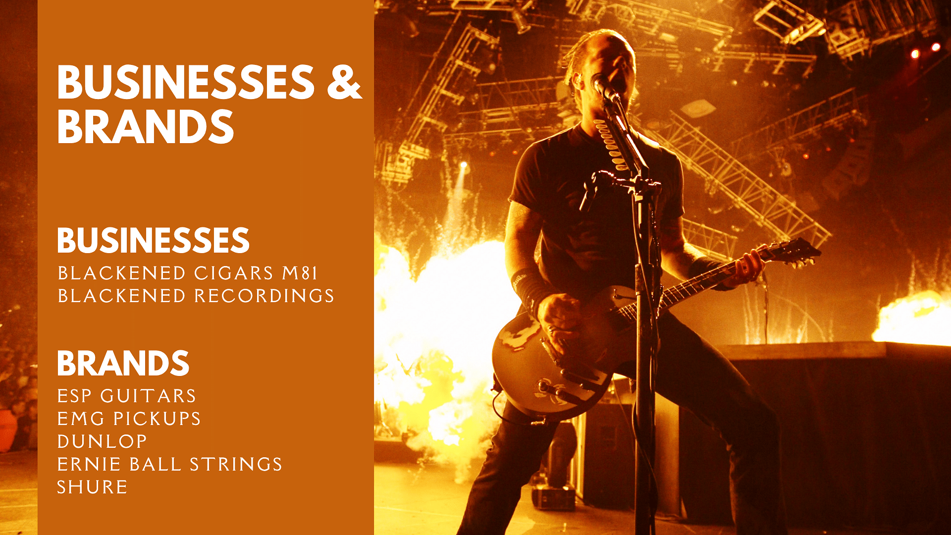 James Hetfield's Businesses And Brands