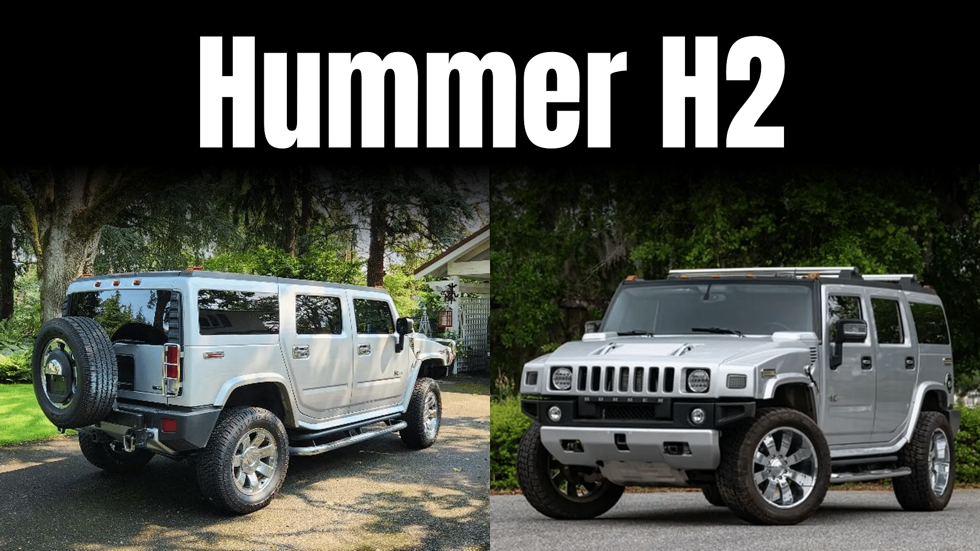 Birdman's Hummer H2