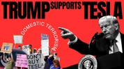 Trump Supports Tesla, Labels Violence Against Tesla As Domestic Terrorism