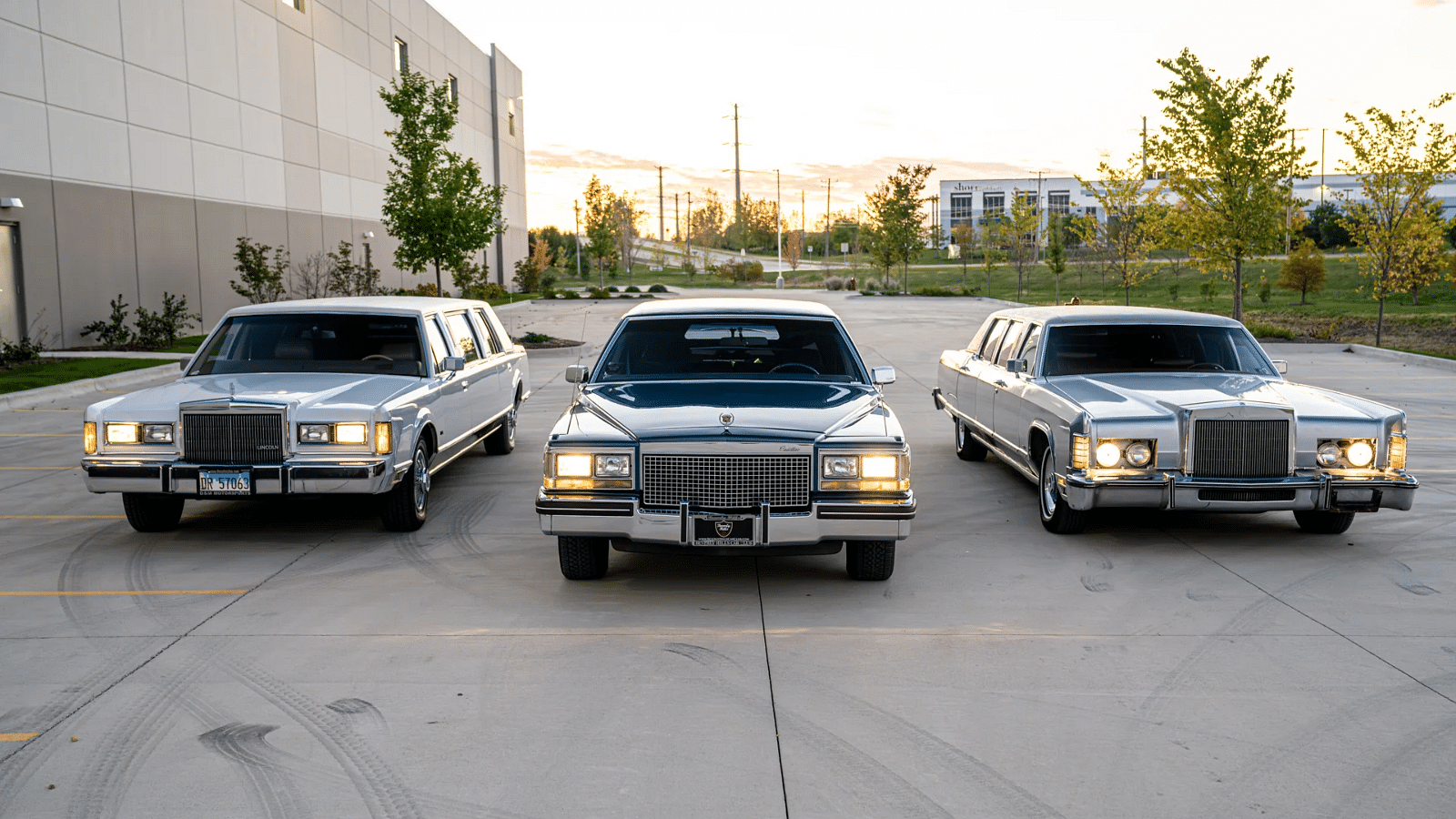 Limousines - The Hamilton Collection