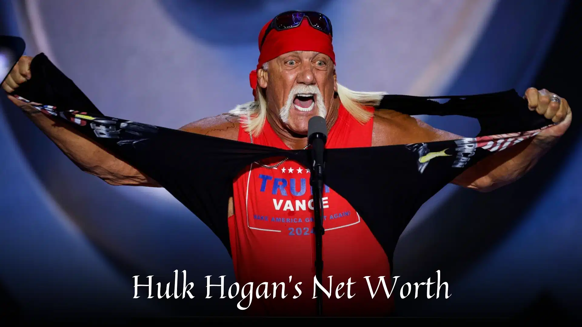 Hulk Hogan's Net Worth