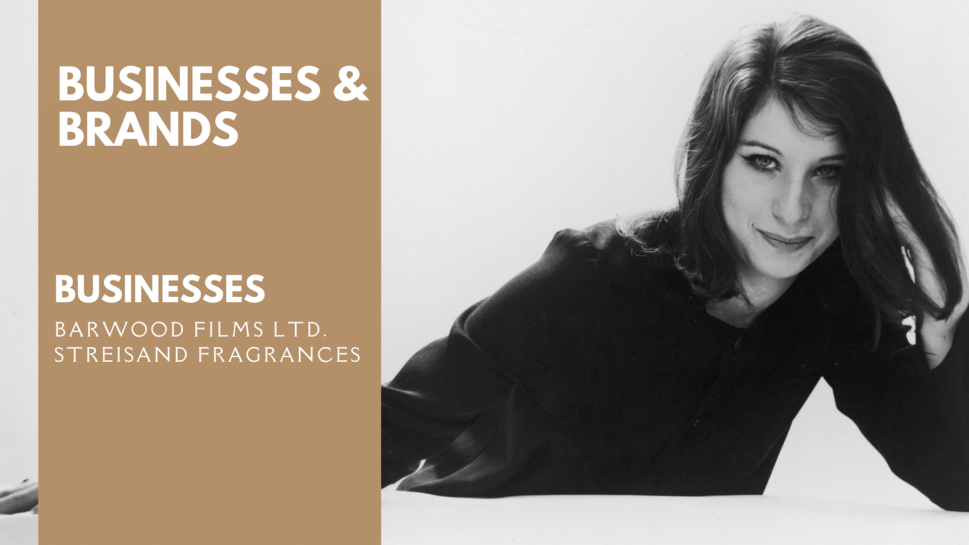 Barbra Streisand's Businesses and Brand Endorsements