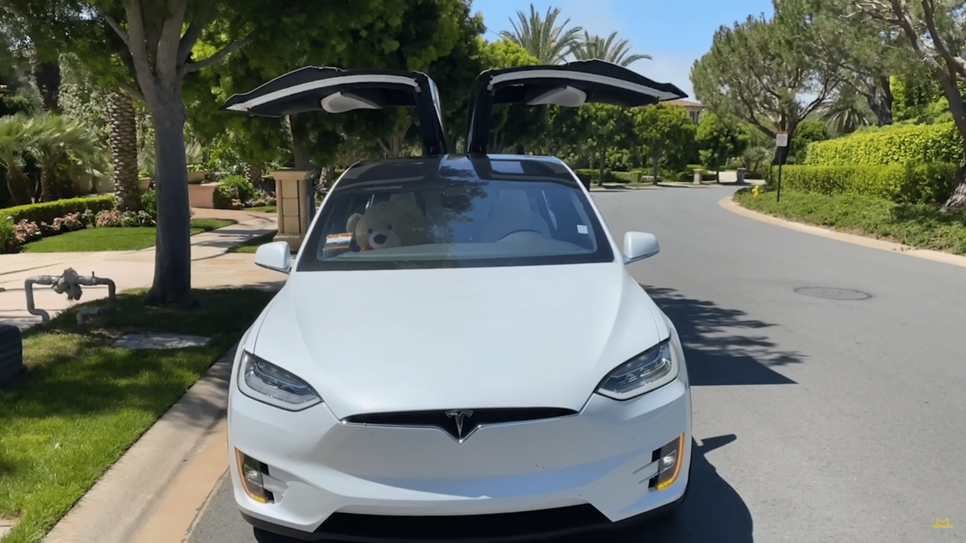 Manny Koshbin's Tesla X